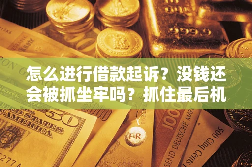 武汉怎么进行借款起诉？没钱还会被抓坐牢吗？抓住最后机会！