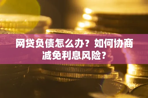 武汉网贷负债怎么办？如何协商减免利息风险？