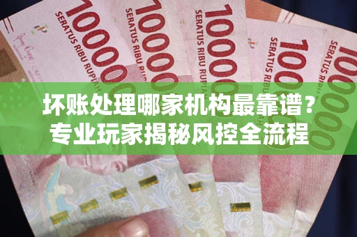 武汉坏账处理哪家机构最靠谱？专业玩家揭秘风控全流程