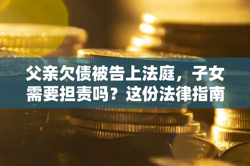 武汉父亲欠债被告上法庭，子女需要担责吗？这份法律指南必须看完