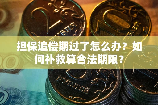 武汉担保追偿期过了怎么办？如何补救算合法期限？