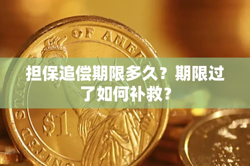 武汉担保追偿期限多久？期限过了如何补救？