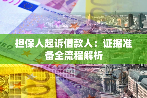 武汉担保人起诉借款人：证据准备全流程解析