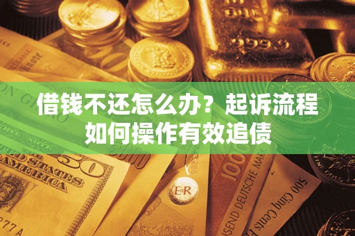 武汉借钱不还怎么办？起诉流程如何操作有效追债
