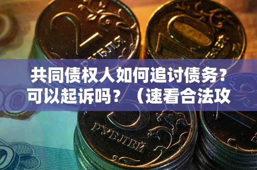 武汉共同债权人如何追讨债务？可以起诉吗？（速看合法攻略）