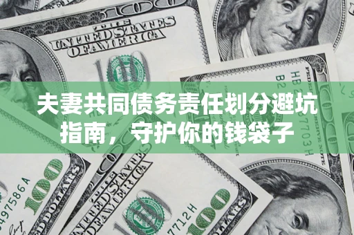 武汉夫妻共同债务责任划分避坑指南，守护你的钱袋子