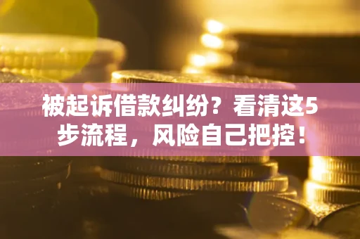 武汉被起诉借款纠纷？看清这5步流程，风险自己把控！