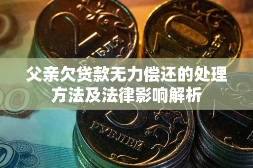 武汉父亲欠贷款无力偿还的处理方法及法律影响解析
