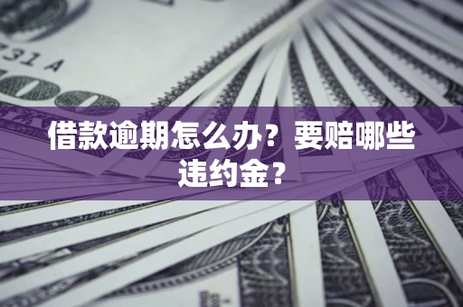 武汉借款逾期怎么办？要赔哪些违约金？